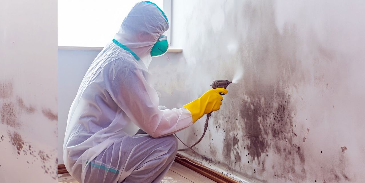 worker treating mould