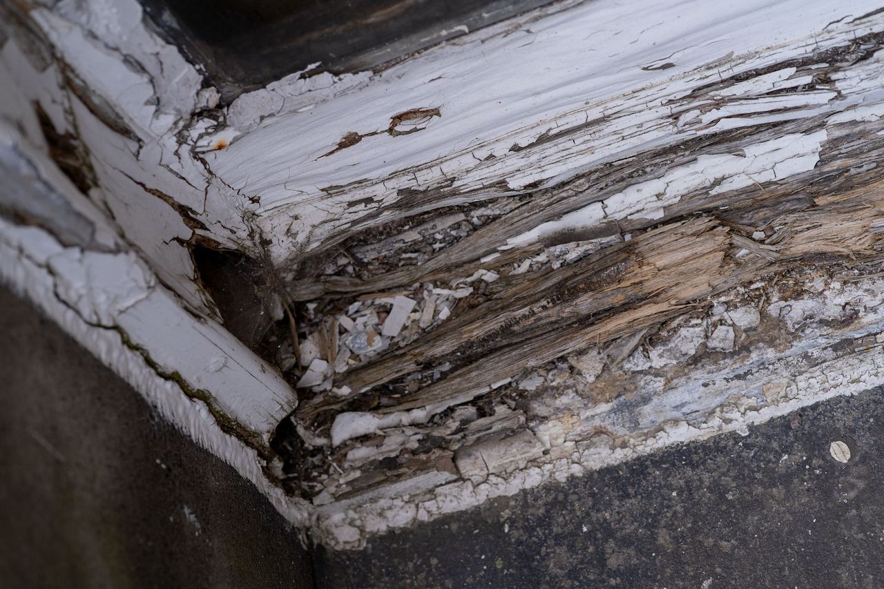 Rotten timber frame