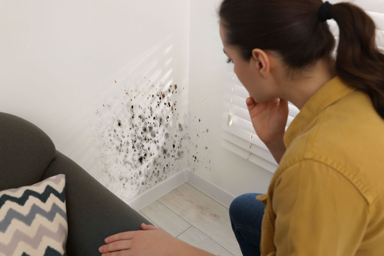 women looking at mould on white wall