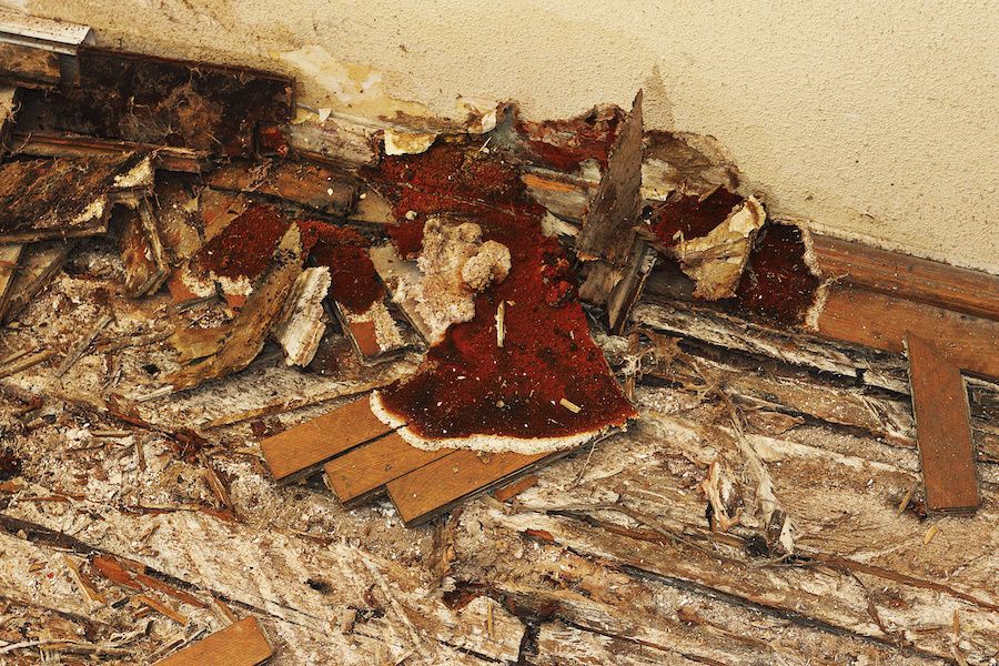 crumbling timber