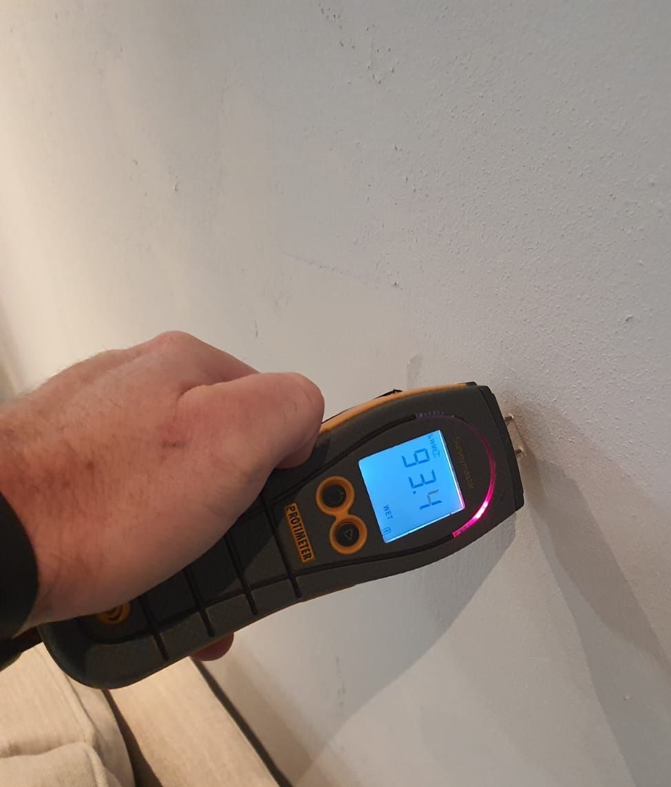 damp meter