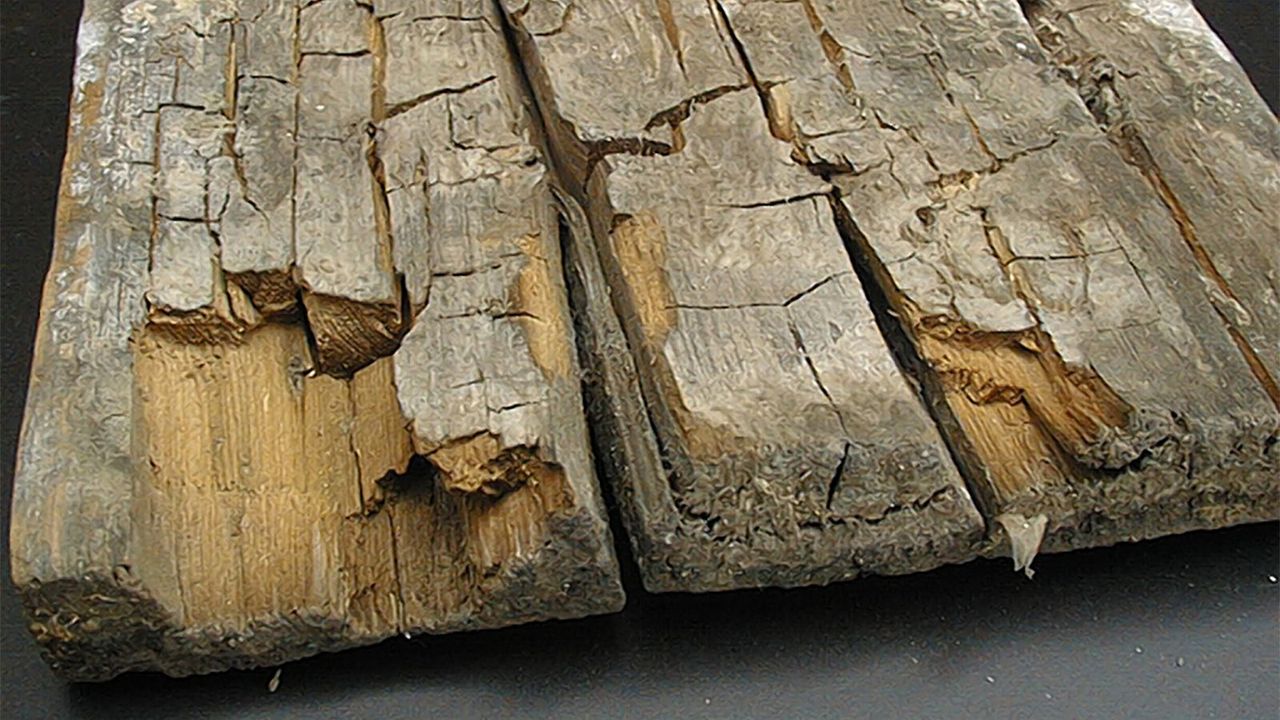 timber beams with dry rot