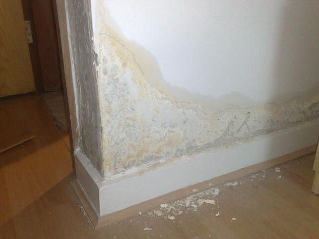 raising damp