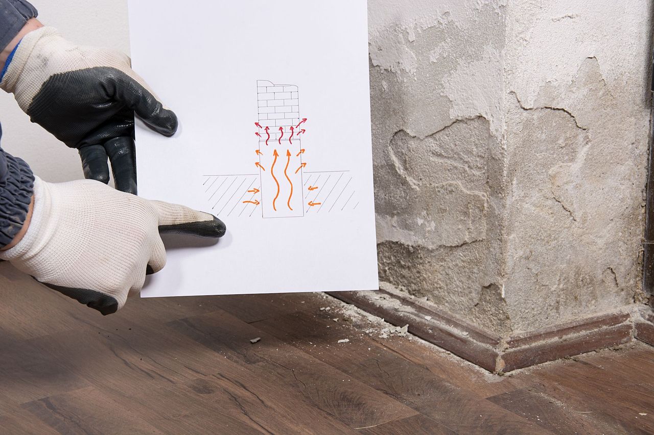 rising damp with diagram