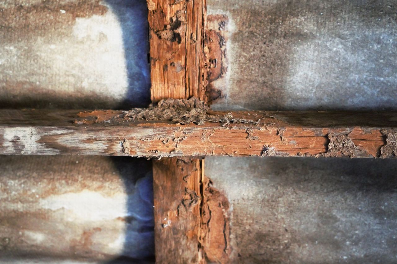 Wet Rot damaged Timber