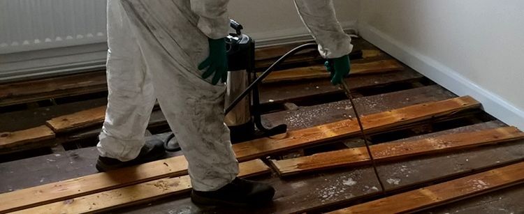 Worker treating timber flooring